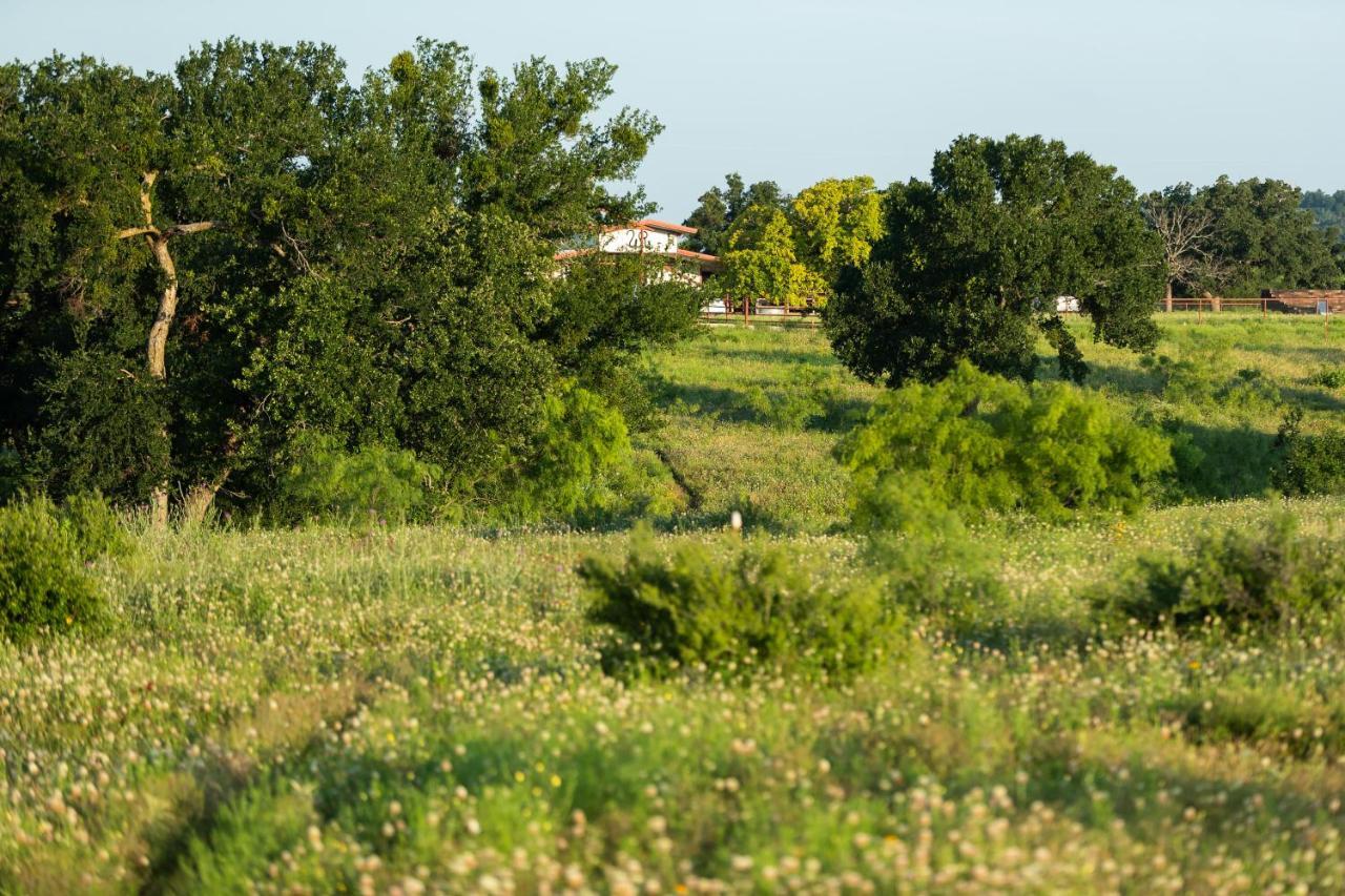 Wildcatter Ranch And Resort Graham 외부 사진